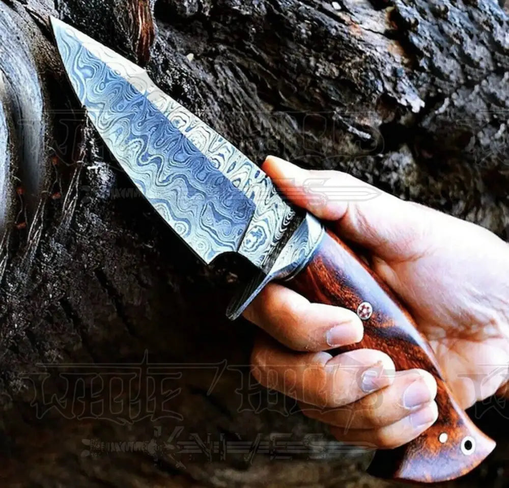 10Custom Handmade Forged Damascus Steel Hunting Knife W/ Wood & Guard Handle Wh 8766 Skinner