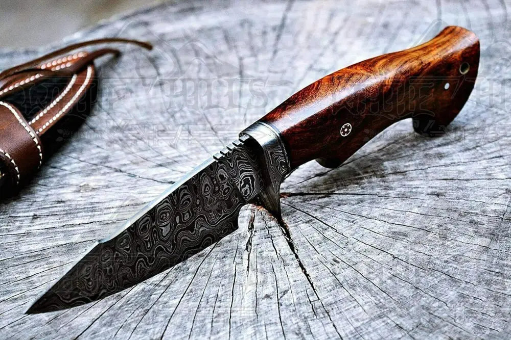 10Custom Handmade Forged Damascus Steel Hunting Knife W/ Wood & Guard Handle Wh 8766 Skinner