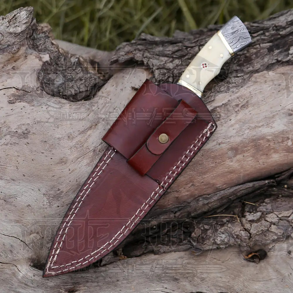 8.5 Hand Forged Damascus Steel Full Tang Skinner Knife - Camel Bone Handle H-017 Collectibles:knives