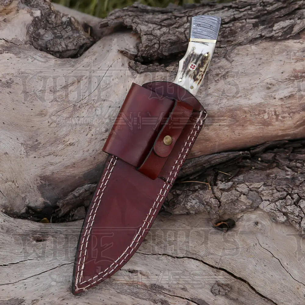 8.5 Hand Forged Damascus Steel Full Tang Skinner Knife - Stag Antler Handle H 018