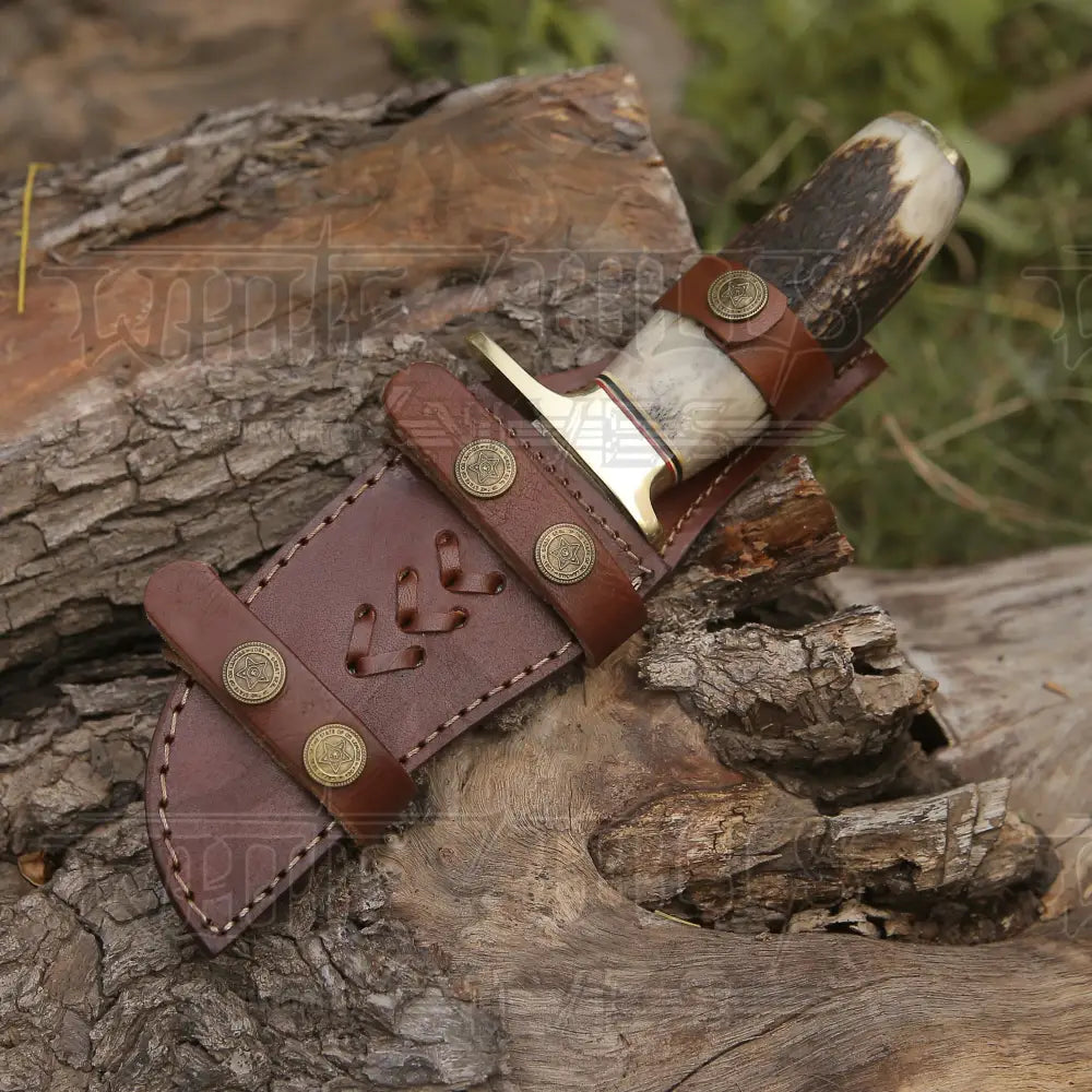Custom Handmade Forged Damascus Steel Hunting Knife W/ Stag & Brass Guard Handle Wh 4399 Survival
