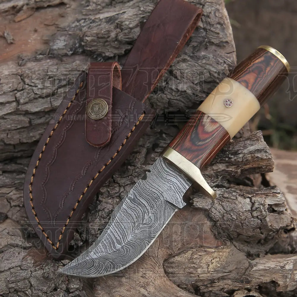 Custom Handmade Forged Damascus Steel Hunting Knife W /Wood & Camel Bone Handle Collectibles:knives