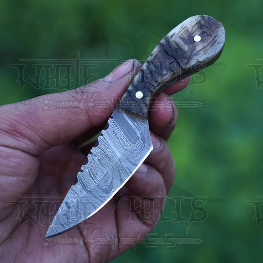 Handmade Damascus Steel Knife - Ram Horn Handle 5’ Full Tang Hunting & Camping Sk - 030 Skinner