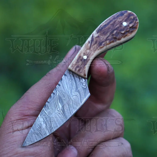 Handmade Damascus Steel Knife - Stag Antler Handle 5’ Full Tang Hunting & Camping Sk - 031 Skinner