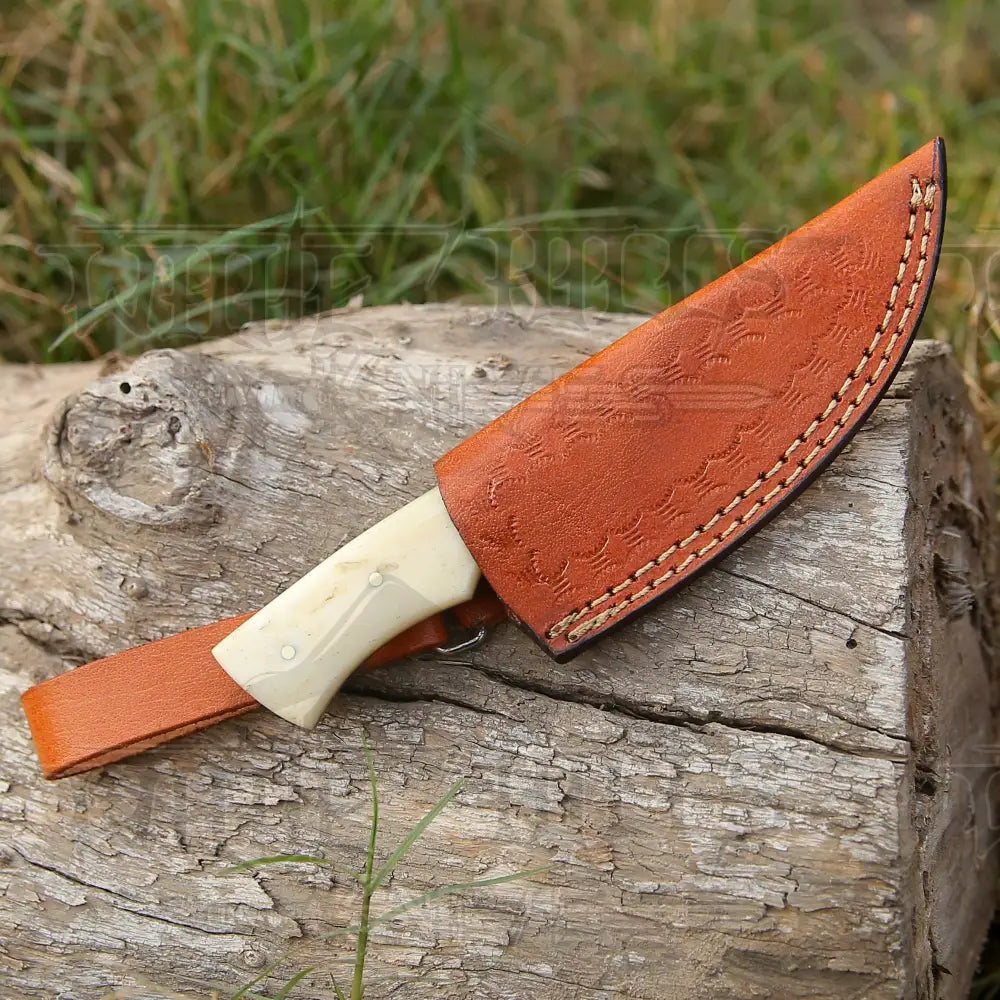 Handmade Damascus Steel Skinner Knife - Camel Bone Handle 5.5’ Full Tang