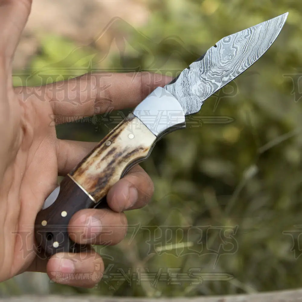 Handmade Forged Damascus Steel Hunting Camping Folding Pocket Knife With Stag Antler & Cocobolo Wood