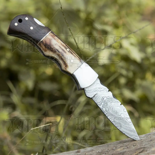 Handmade Forged Damascus Steel Hunting Camping Folding Pocket Knife With Stag Antler & Cocobolo Wood