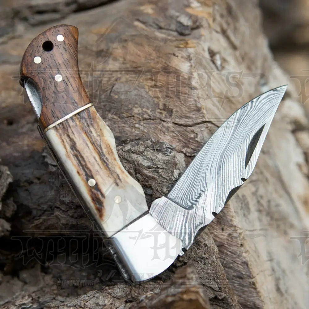 Handmade Forged Damascus Steel Hunting Camping Folding Pocket Knife With Stag Antler & Cocobolo Wood