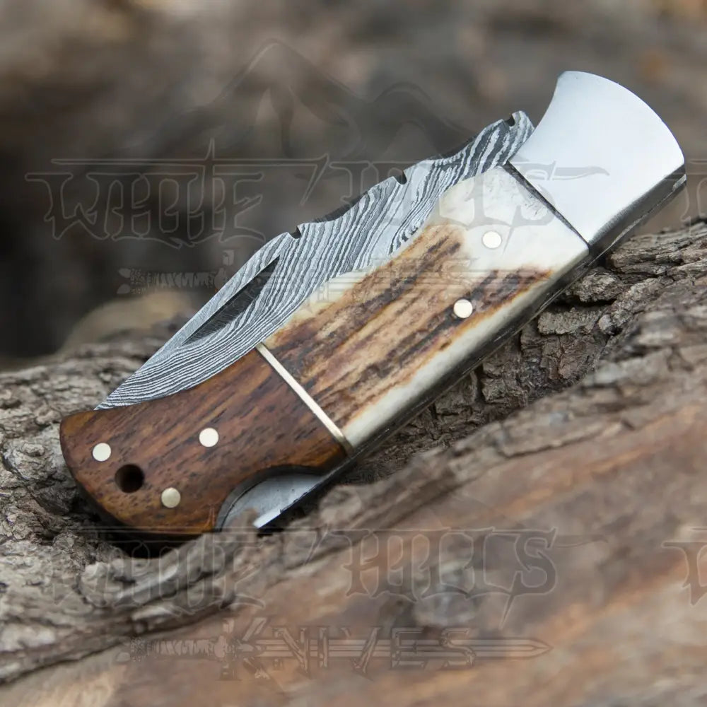Handmade Forged Damascus Steel Hunting Camping Folding Pocket Knife With Stag Antler & Cocobolo Wood