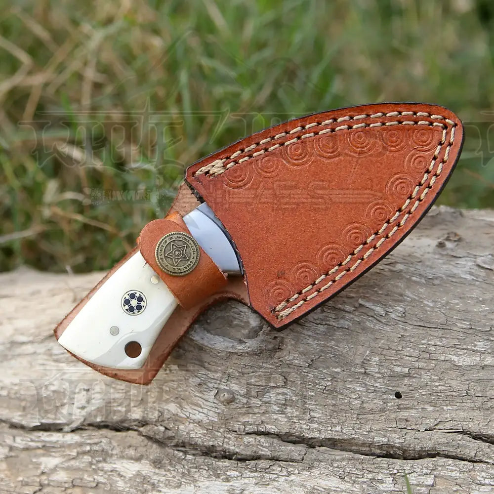 Handmade Semi Stainless Steel Skinner Knife - Camel Bone Handle 5.5’ Full Tang