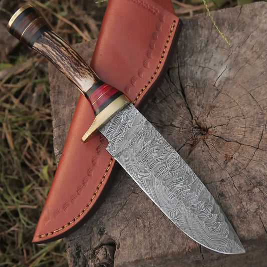 10Custom Handmade Damascus Steel Hunting Knife W / Stag Antler & Brass Guard Collectibles:knives