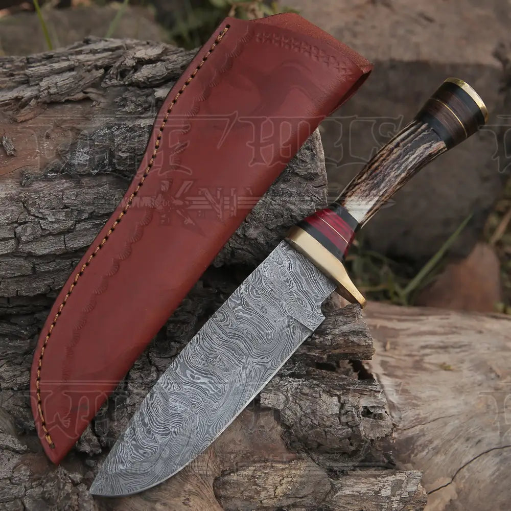 10Custom Handmade Damascus Steel Hunting Knife W / Stag Antler & Brass Guard Collectibles:knives