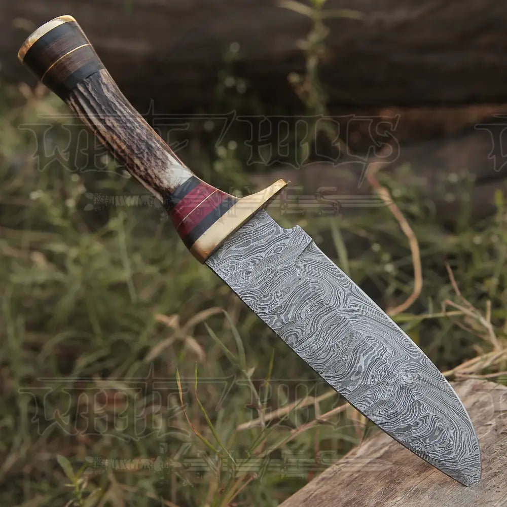 10Custom Handmade Damascus Steel Hunting Knife W / Stag Antler & Brass Guard Collectibles:knives