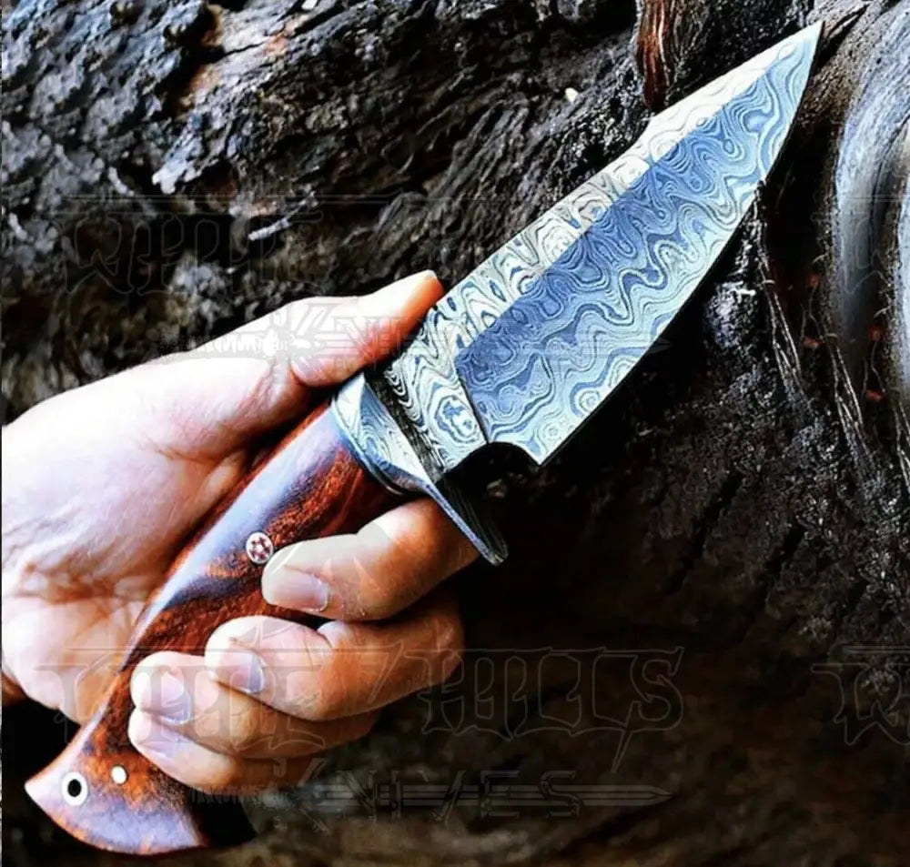 10Custom Handmade Forged Damascus Steel Hunting Knife W/ Wood & Guard Handle Wh 8766 Skinner