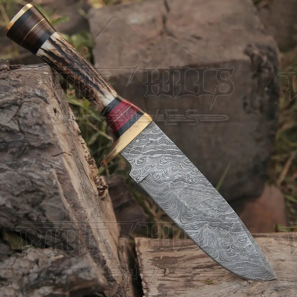 Forged Damascus Handmafe Steel Hunting Knife Wood & Guard Handle WH 8766