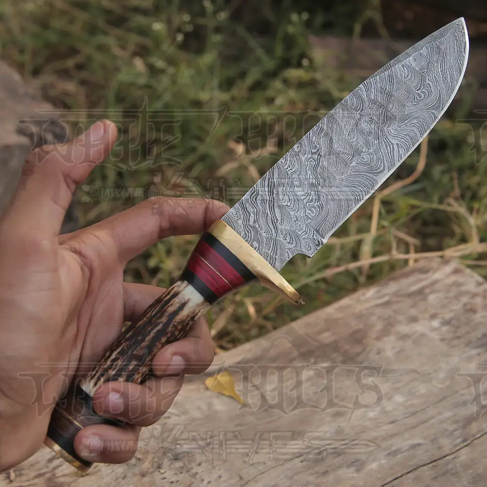 10Custom Handmade Damascus Steel Hunting Knife W / Stag Antler & Brass Guard Collectibles:knives