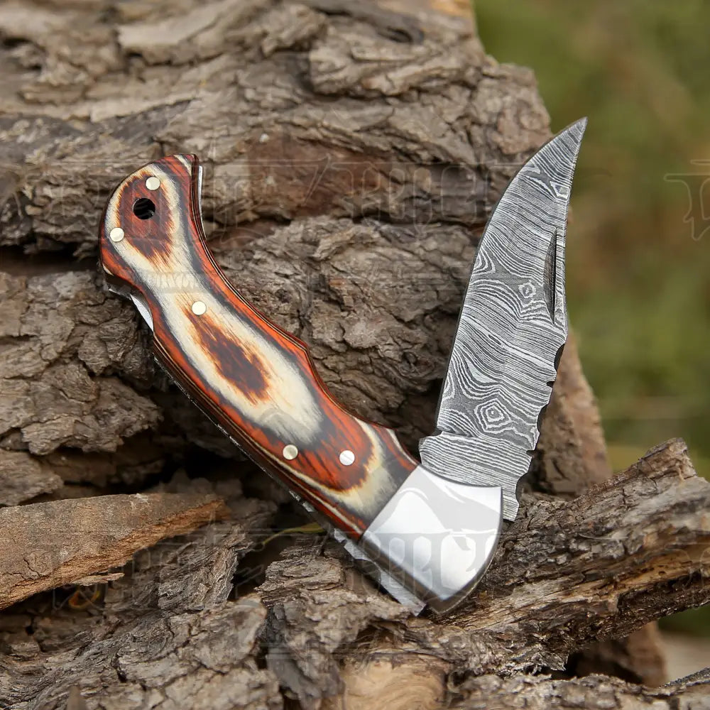 6.5 Handmade Damascus Pocket Knife - Folding Stained Wood Handle Wh 5030