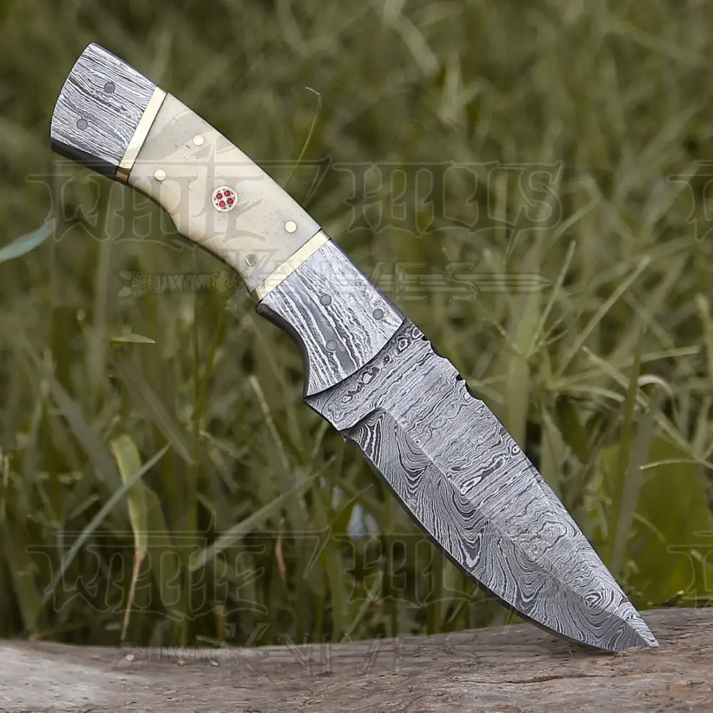 8.5 Hand Forged Damascus Steel Full Tang Skinner Knife - Camel Bone Handle H-017 Collectibles:knives