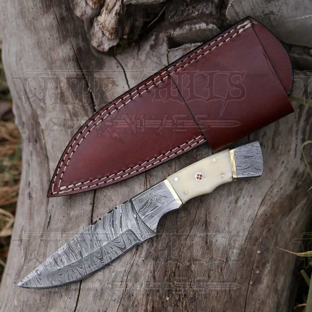 8.5 Hand Forged Damascus Steel Full Tang Skinner Knife - Camel Bone Handle H-017 Collectibles:knives