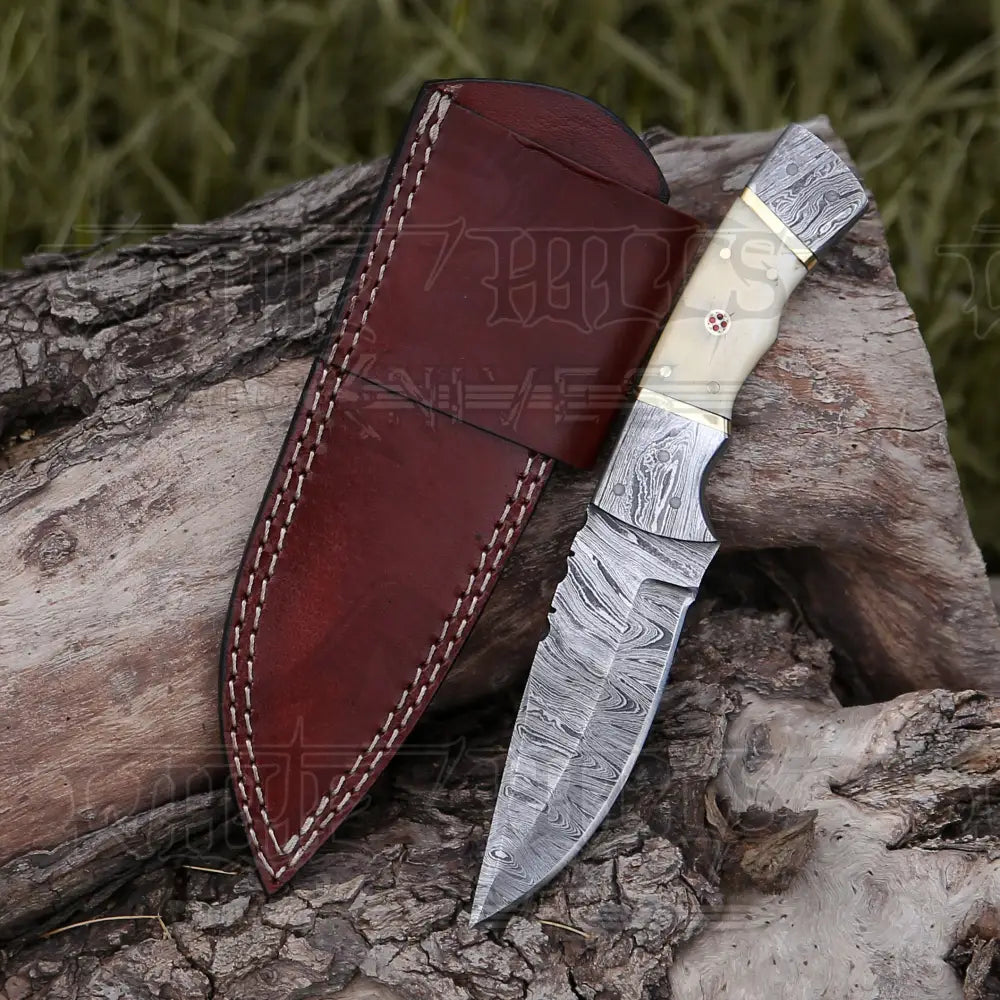 8.5 Hand Forged Damascus Steel Full Tang Skinner Knife - Camel Bone Handle H-017 Collectibles:knives