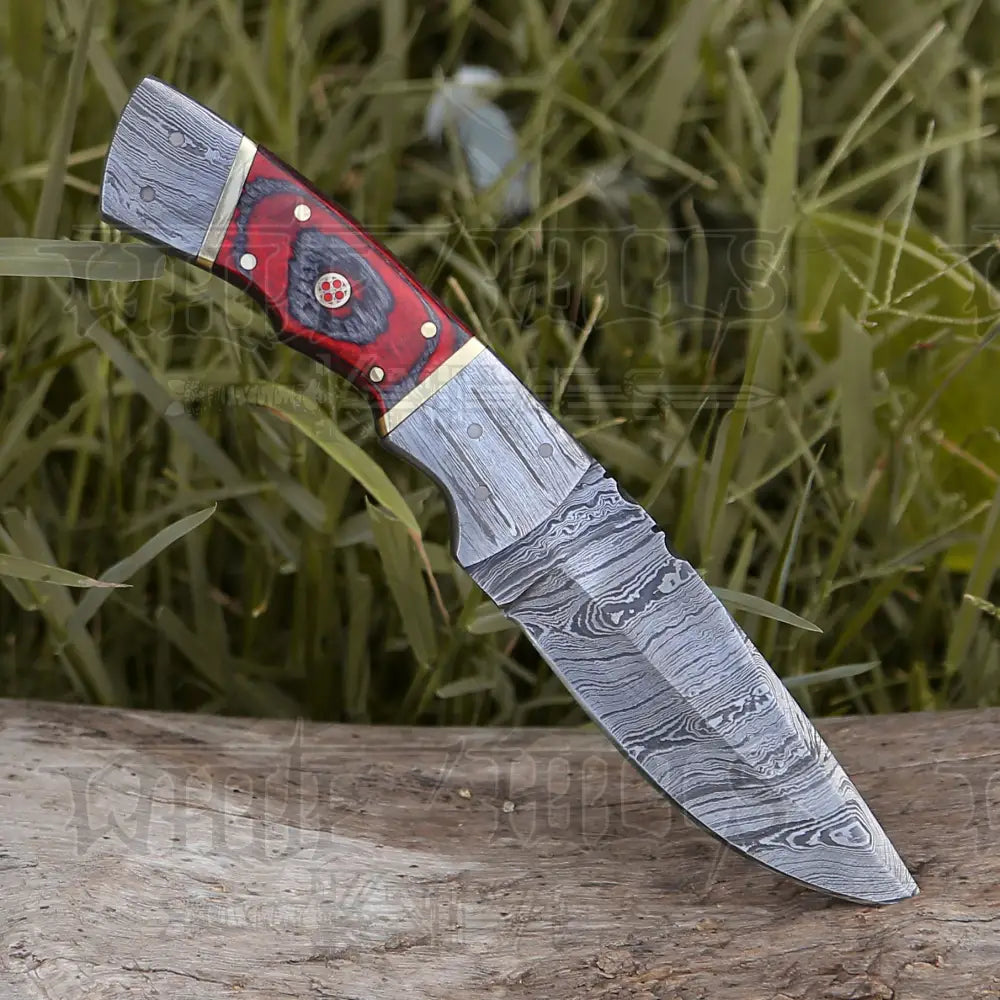 8.5 Hand Forged Damascus Steel Full Tang Skinner Knife - Red Wood Handle H 021 Collectibles:knives