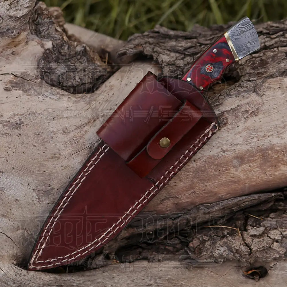 8.5 Hand Forged Damascus Steel Full Tang Skinner Knife - Red Wood Handle H 021 Collectibles:knives