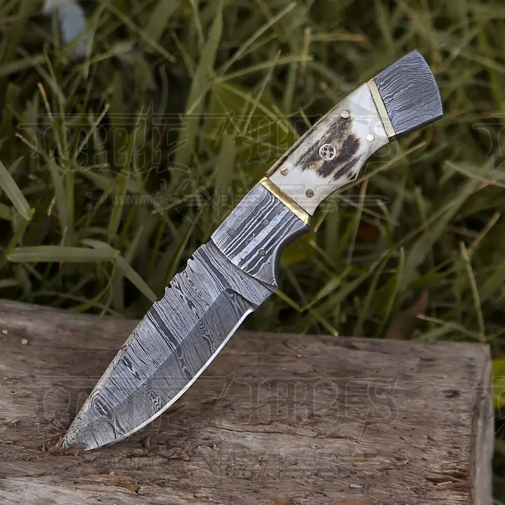 8.5 Hand Forged Damascus Steel Full Tang Skinner Knife - Stag Antler Handle H 018
