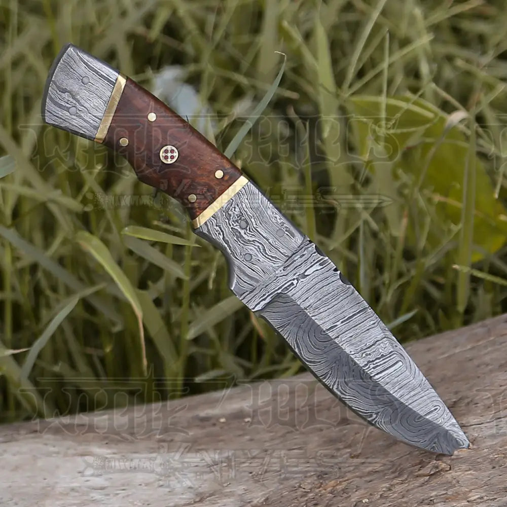 8.5 Hand Forged Damascus Steel Full Tang Skinner Knife - Wood Handle Collectibles:knives Swords &