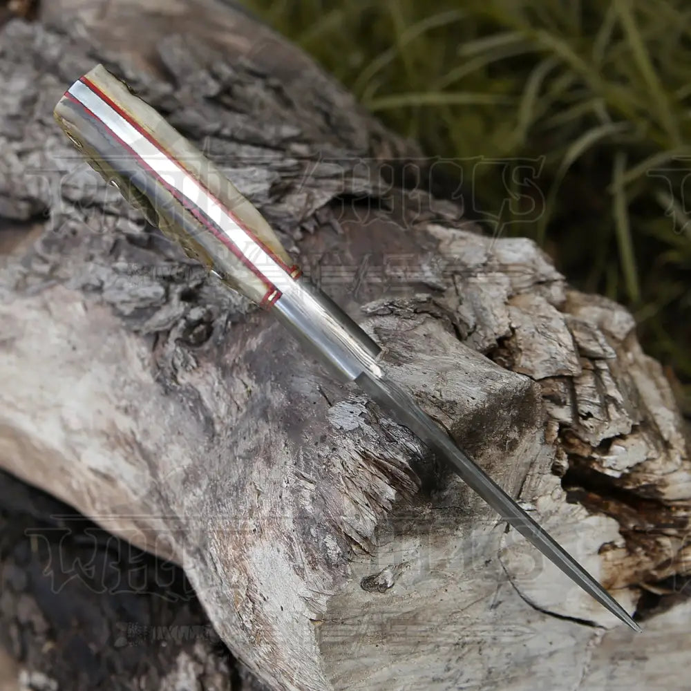 9 Hand Forged Damascus Steel Full Tang Skinner Knife - Ram Horn Handle & Bolster Collectibles:knives