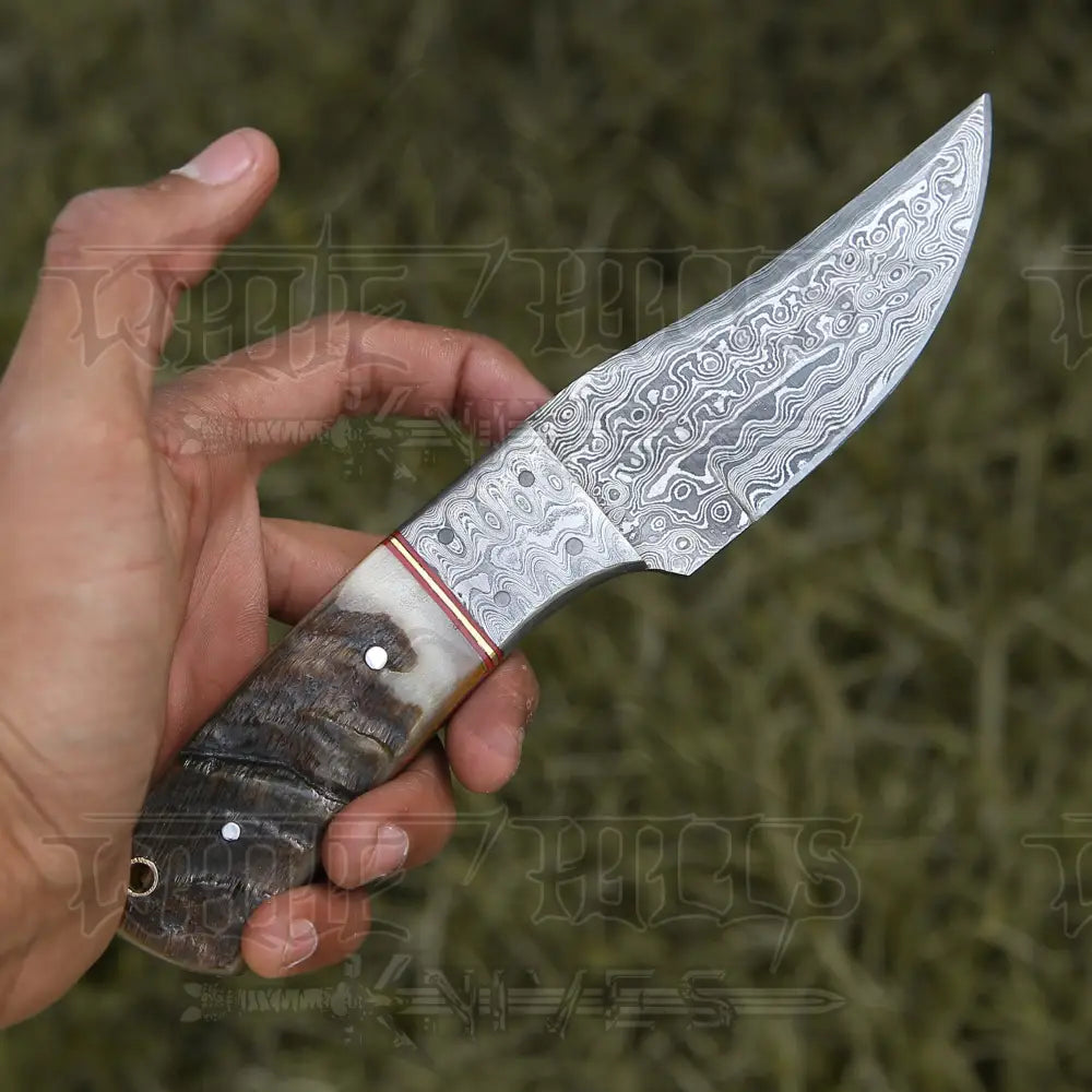 9 Hand Forged Damascus Steel Full Tang Skinner Knife - Ram Horn Handle & Bolster Collectibles:knives
