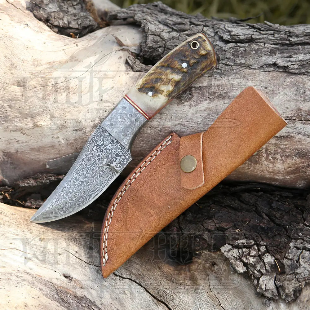 9 Hand Forged Damascus Steel Full Tang Skinner Knife - Ram Horn Handle & Bolster Collectibles:knives