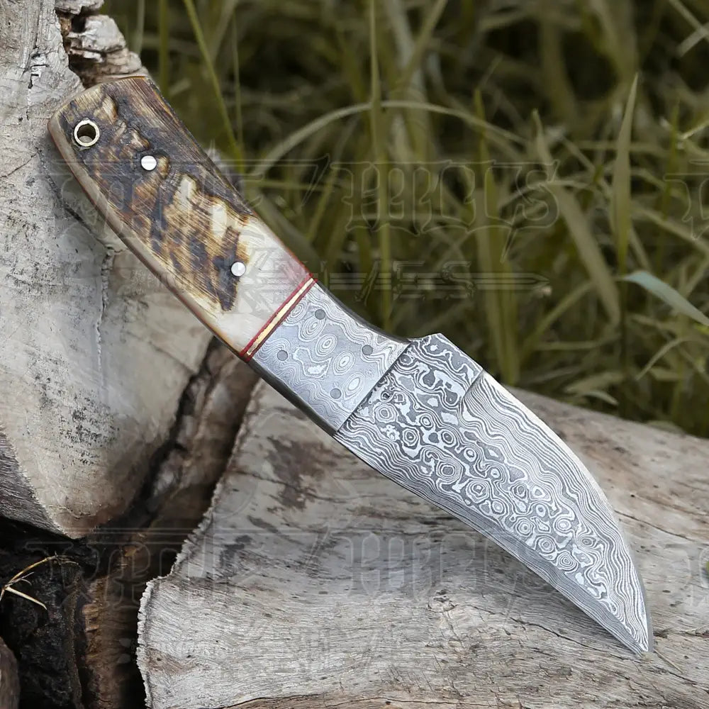9 Hand Forged Damascus Steel Full Tang Skinner Knife - Ram Horn Handle & Bolster Collectibles:knives