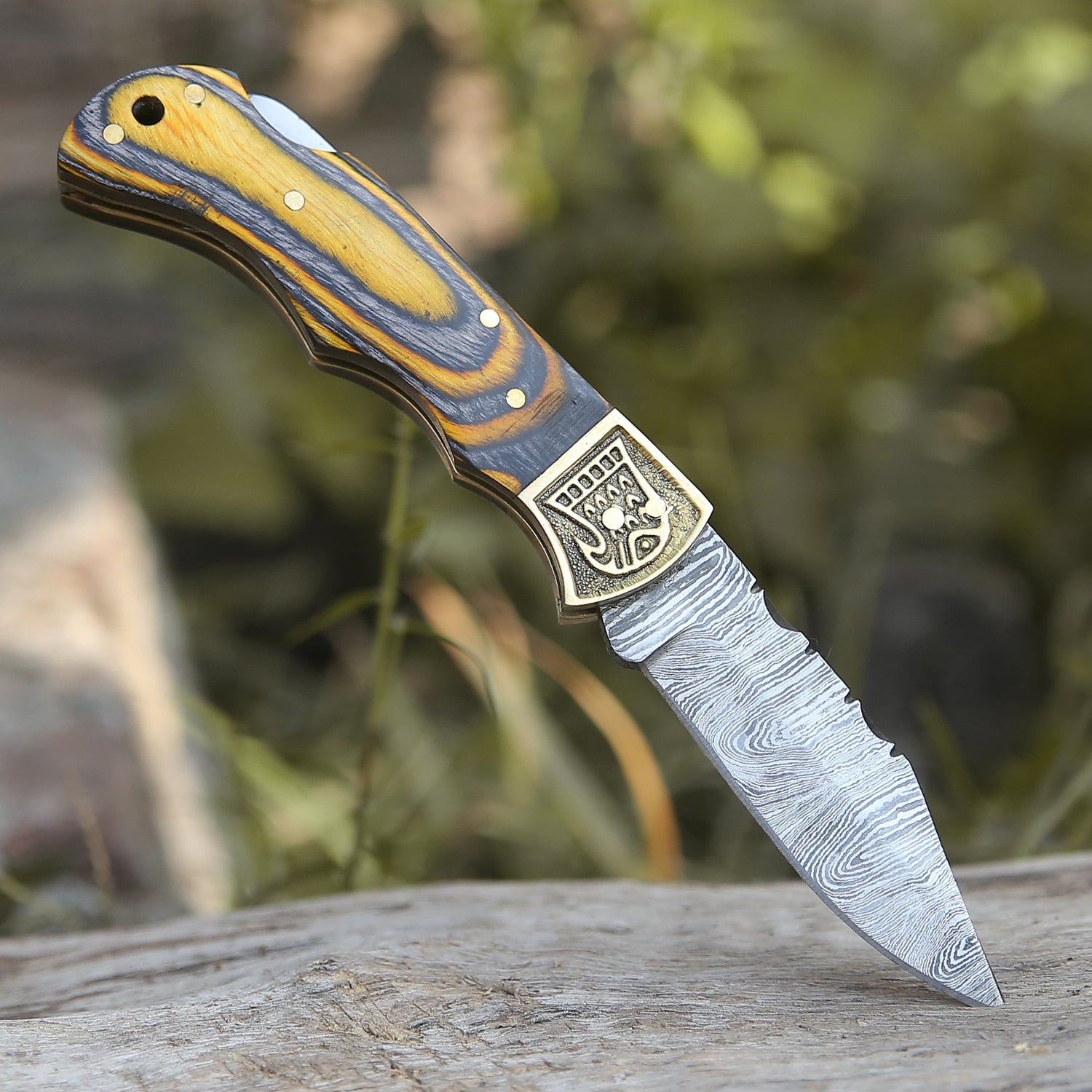 Customs Hand Made Damascus Steel Hunting Folding Knife Brass Bolster With Colored Wood Handle Wh