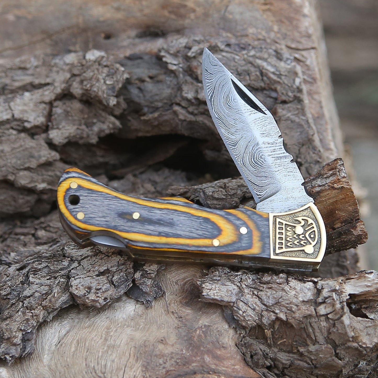 Customs Hand Made Damascus Steel Hunting Folding Knife Brass Bolster With Colored Wood Handle Wh