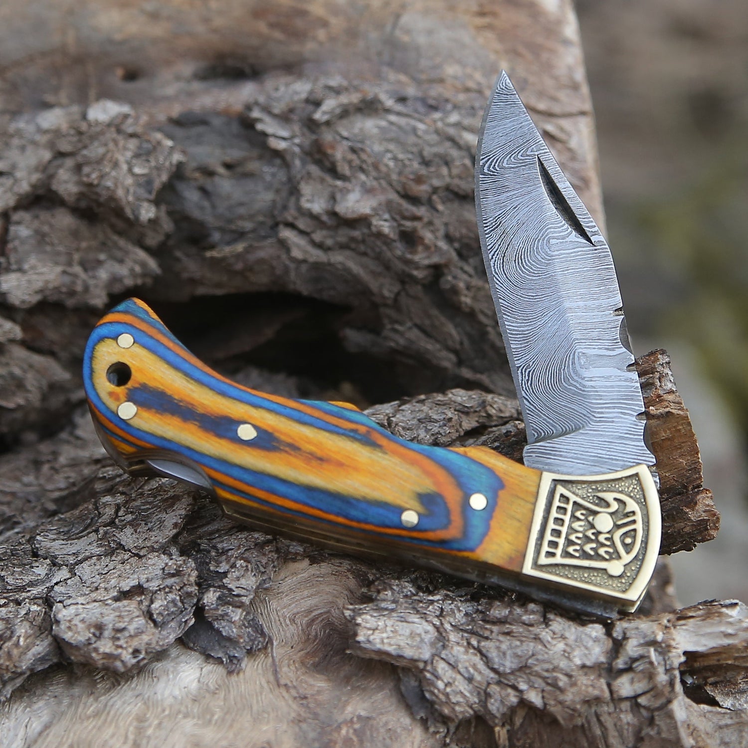 Customs Hand Made Damascus Steel Hunting Folding Knife Brass Bolster With Colored Wood Handle Wh