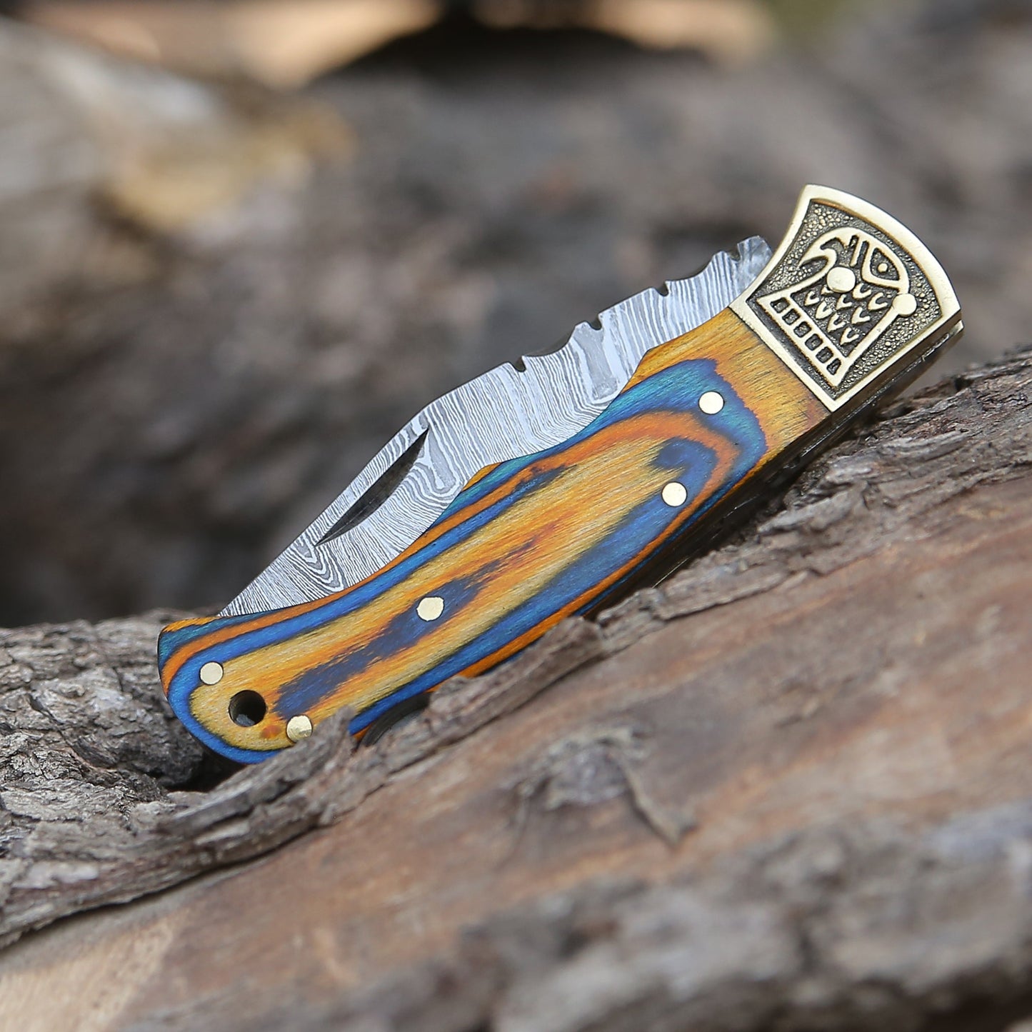Customs Hand Made Damascus Steel Hunting Folding Knife Brass Bolster With Colored Wood Handle Wh