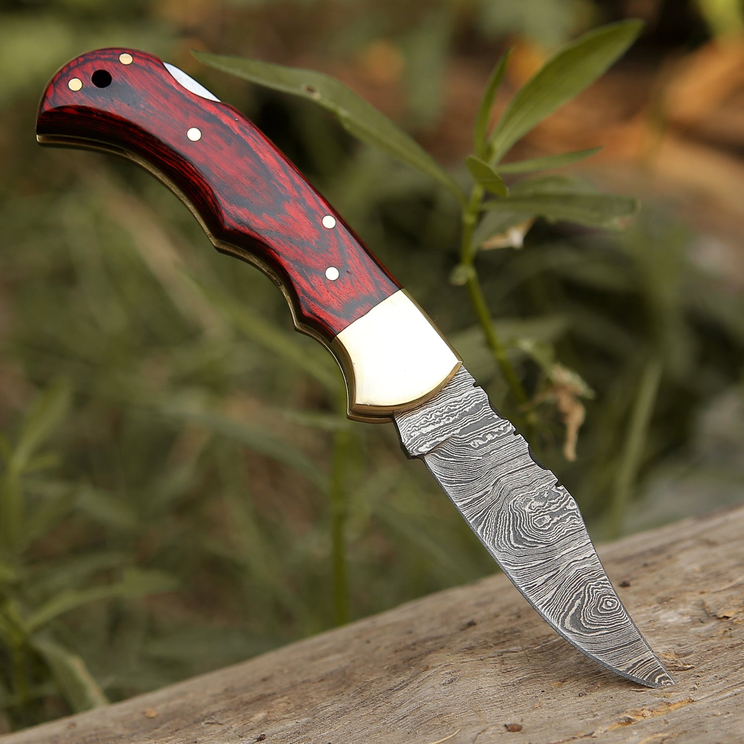 Custom Hand Forged Damascus Steel Folding Knife Stained Wood Handle Wh 1255 Red