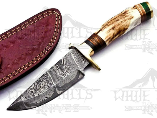 Custom Hand Forged Damascus Steel Hunting Brass Guard Knife& Stag Handle Wh 57 Knife