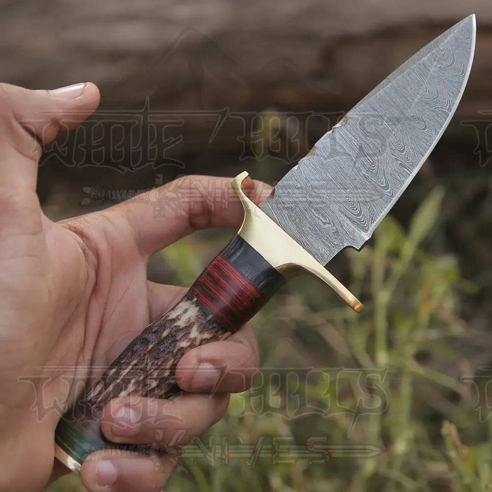 Custom Hand Forged Damascus Steel Hunting Brass Guard Knife& Stag Handle Wh 57 Knife