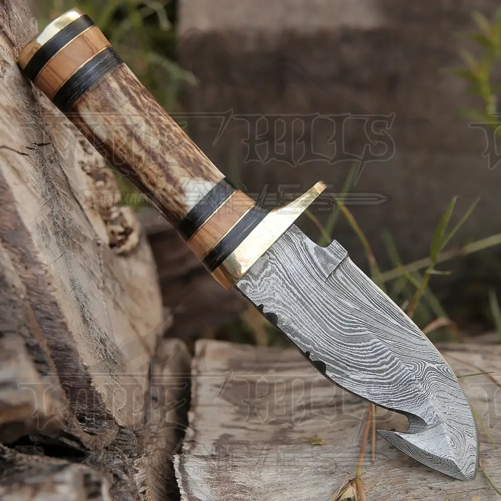Custom Hand Made Forged Damascus Steel Gut Hook Hunting Knife With Stag Handle Wh 3749
