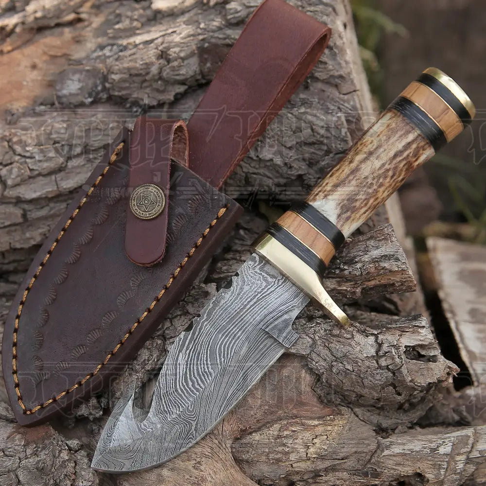 Custom Hand Made Forged Damascus Steel Gut Hook Hunting Knife With