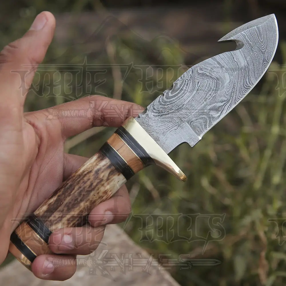 Custom Hand Made Forged Damascus Steel Gut Hook Hunting Knife With Sta –  White Hills Knives