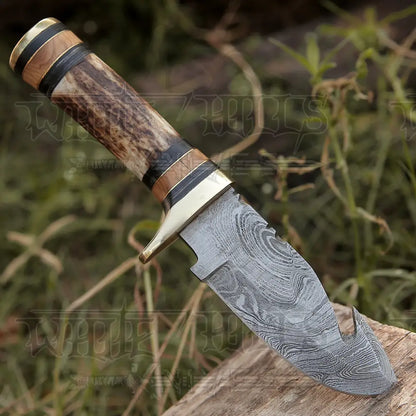 Custom Hand Made Forged Damascus Steel Gut Hook Hunting Knife With Stag Handle Wh 3749