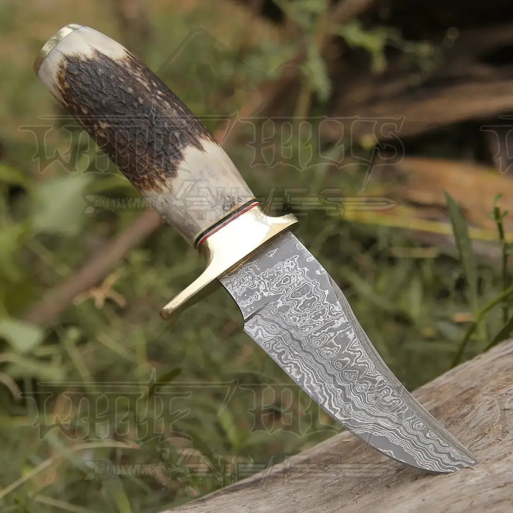 Custom Handmade Forged Damascus Steel Hunting Knife W/ Stag & Brass Guard Handle Wh 4399 Survival