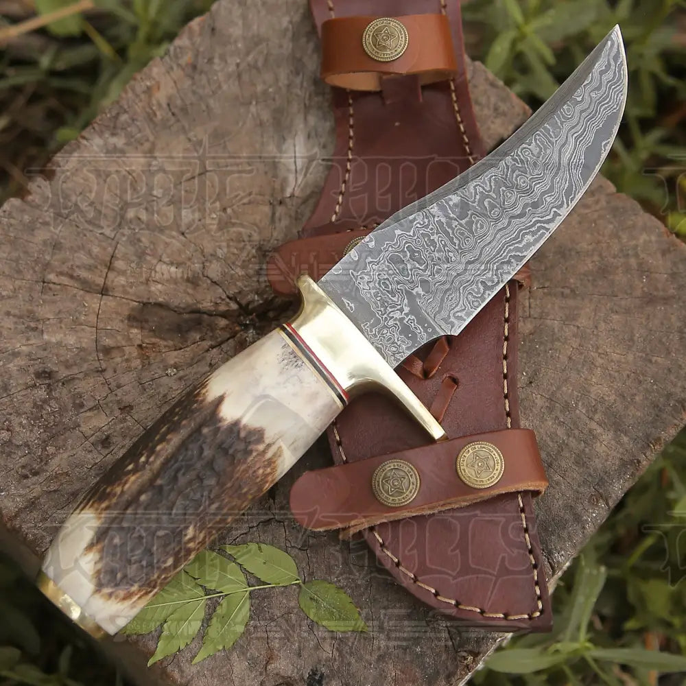 Custom Handmade Forged Damascus Steel Hunting Knife W/ Stag & Brass Guard Handle Wh 4399 Survival