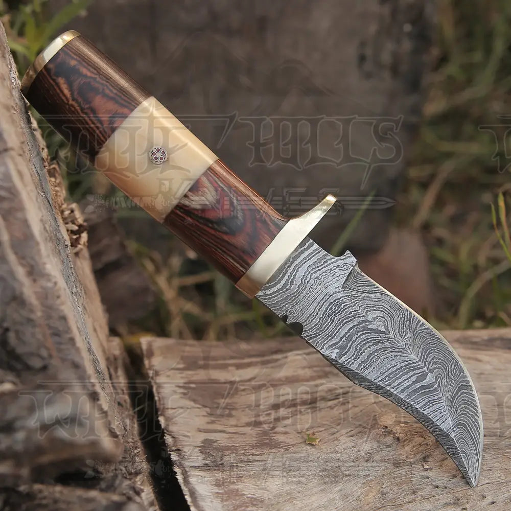 Custom Handmade Forged Damascus Steel Hunting Knife W /Wood & Camel Bone Handle Collectibles:knives