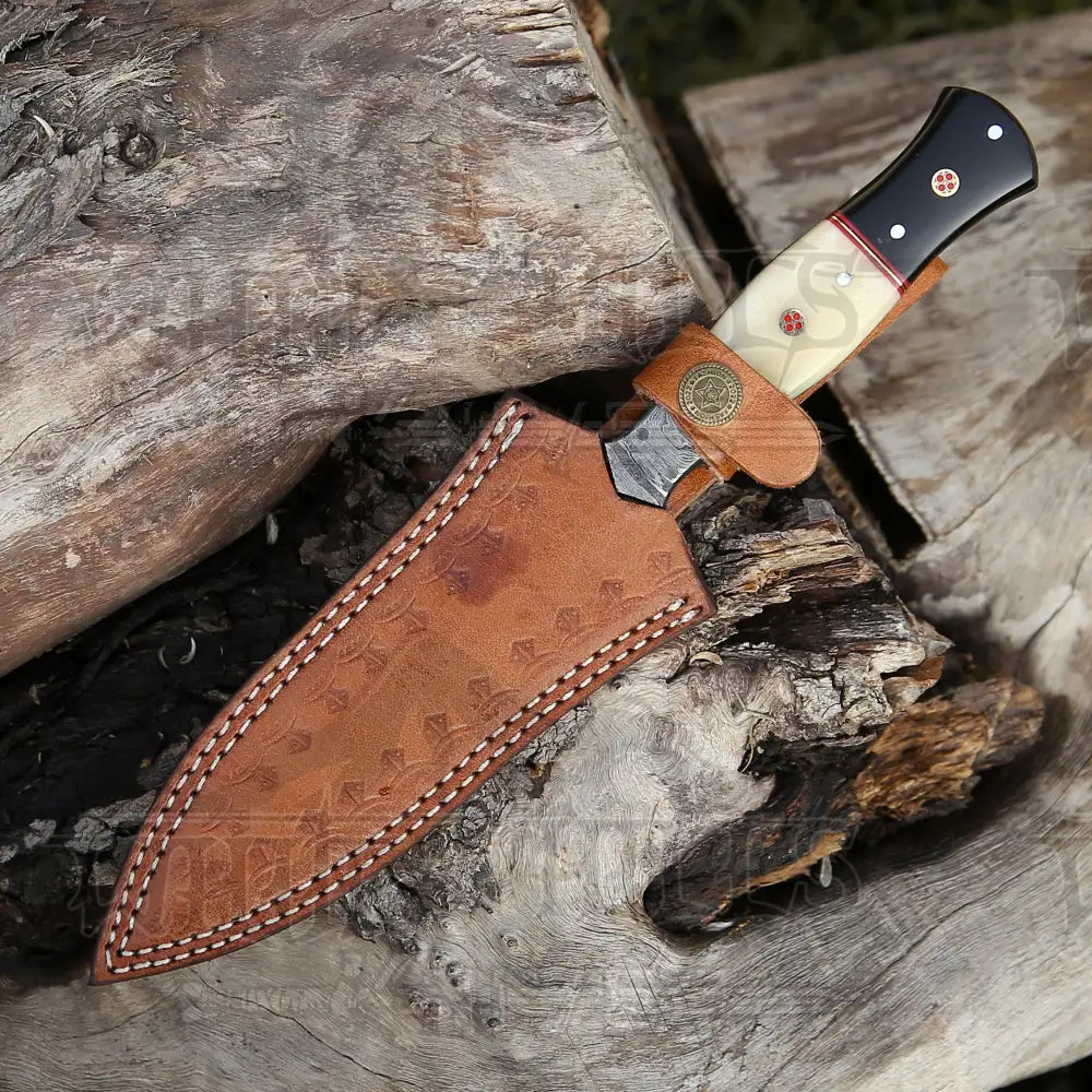 Hand Forged Damascus Steel Hunting Boot Knife With Bolster - Bull Horn & Bone Handle Boot Knife