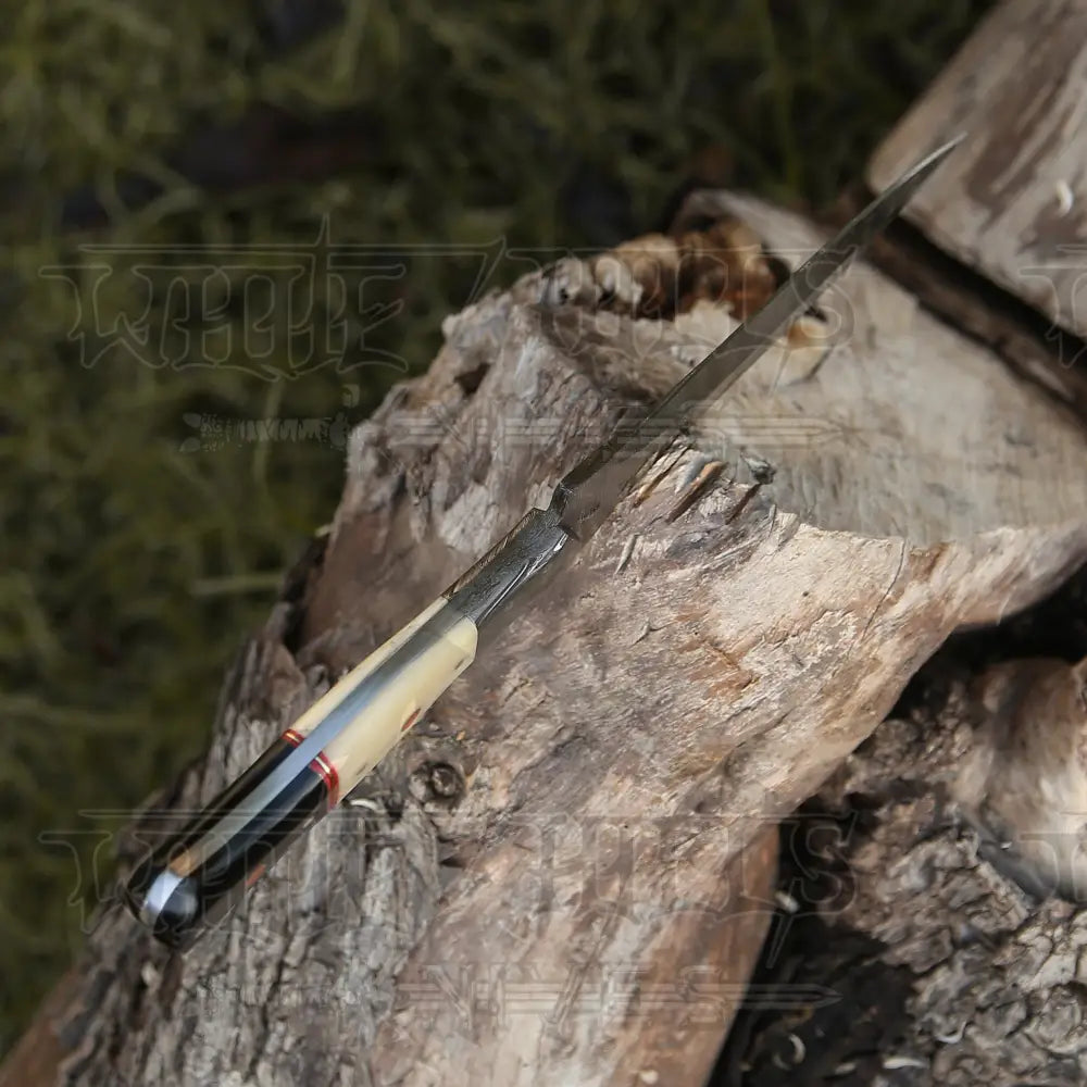Hand Forged Damascus Steel Hunting Boot Knife With Bolster - Bull Horn & Bone Handle Boot Knife