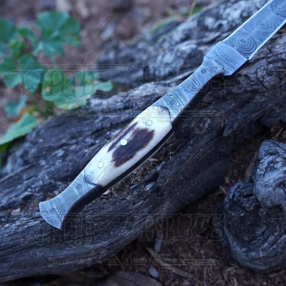 Handmade Damascus Steel Dagger Knife - 8.5’ Full Tang Stag Antler Handle Boot