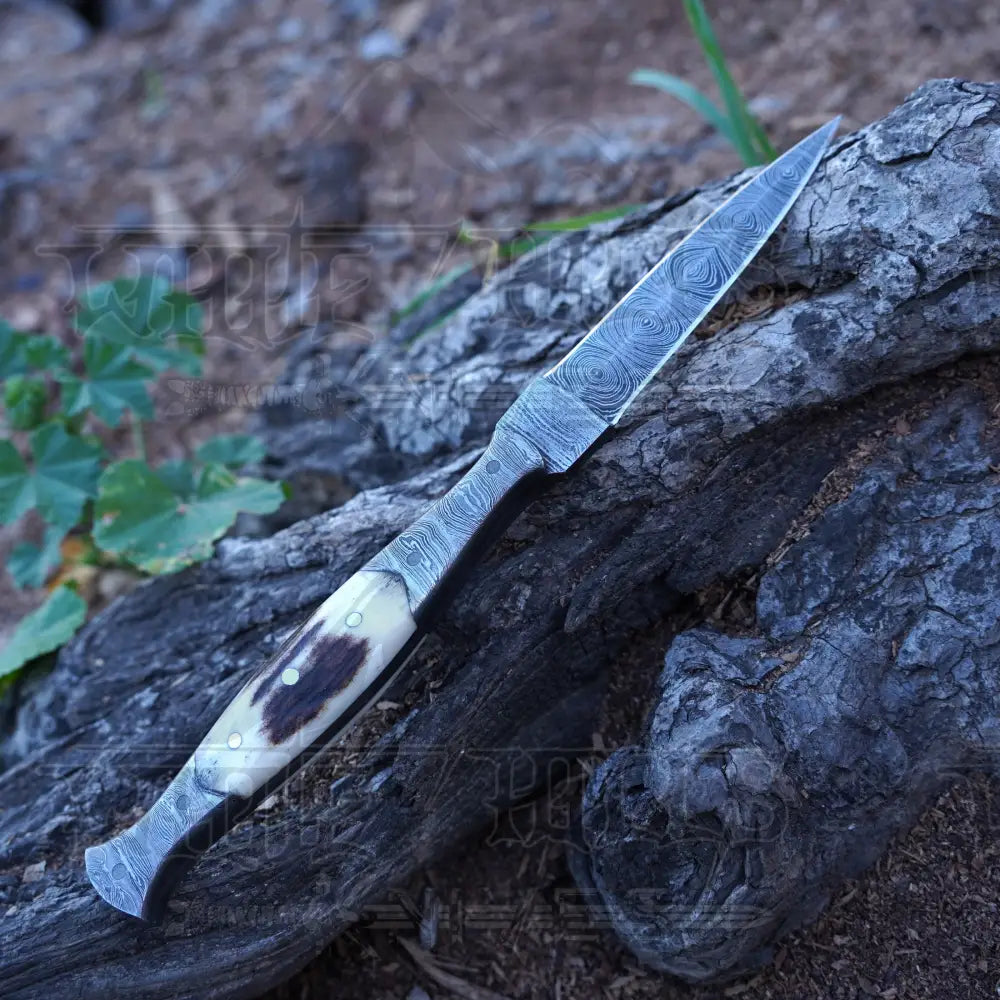 Handmade Damascus Steel Dagger Knife - 8.5’ Full Tang Stag Antler Handle Boot